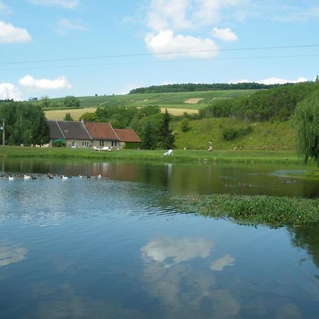 Bed and Breakfast Domaine Du Moulin De L'Etang Châtillon-sur-Marne Exterior foto