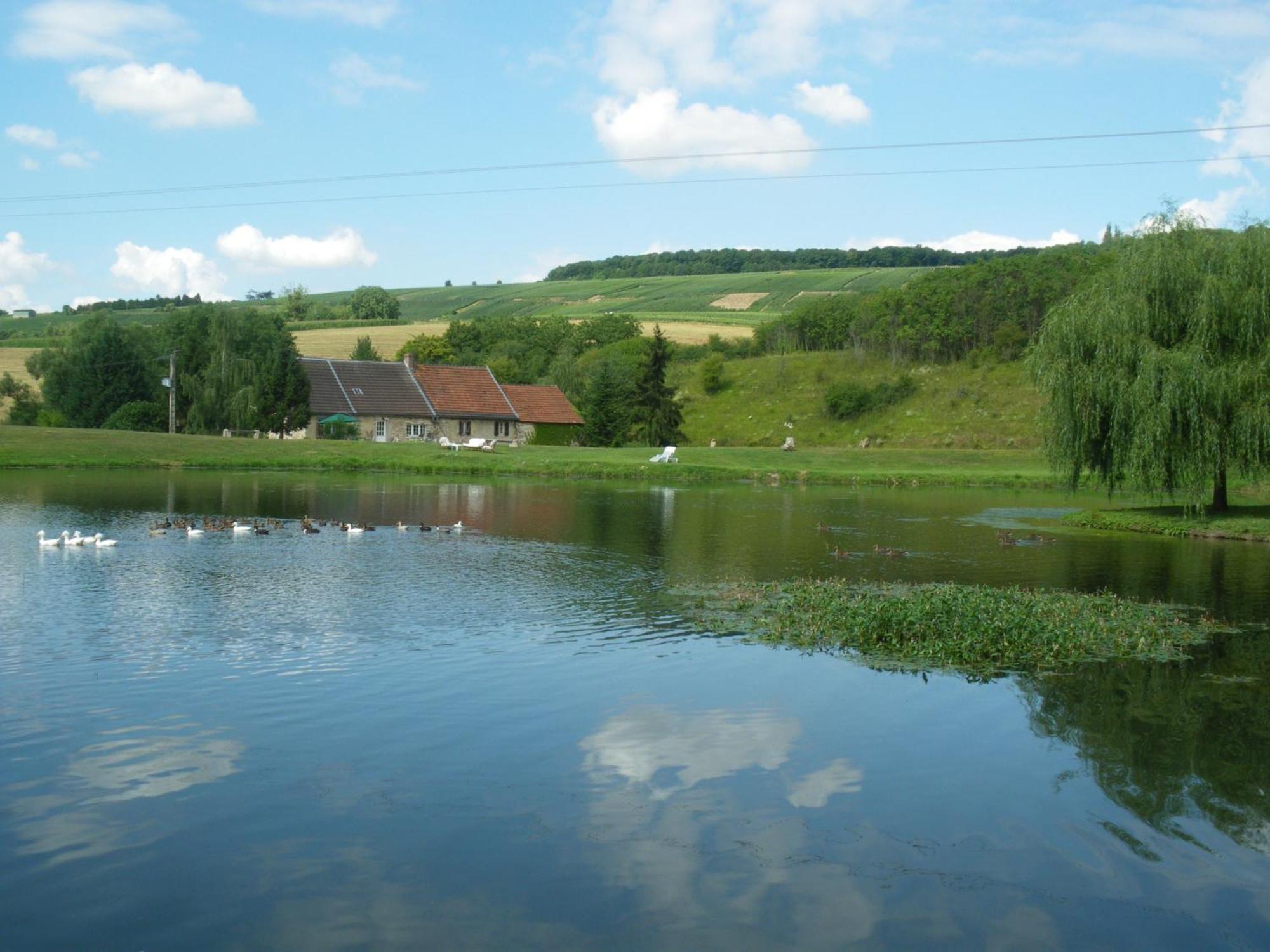 Bed and Breakfast Domaine Du Moulin De L'Etang Châtillon-sur-Marne Exterior foto